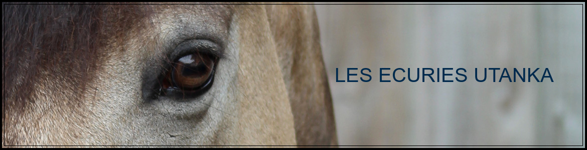 LES ECURIES UTANKA